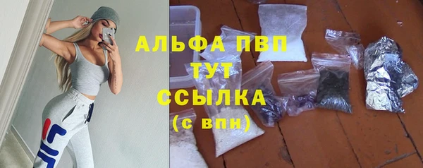 эйфоретик Осташков