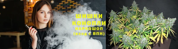 эйфоретик Осташков