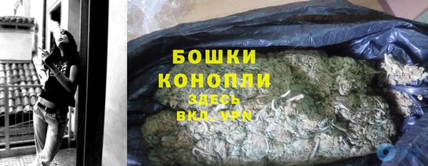 хмурый Осинники