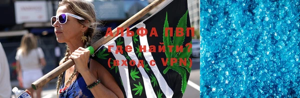 хмурый Осинники