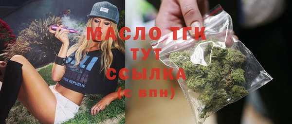хмурый Осинники