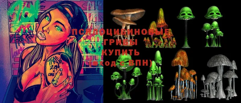 kraken tor  Лебедянь  Псилоцибиновые грибы Psilocybe 