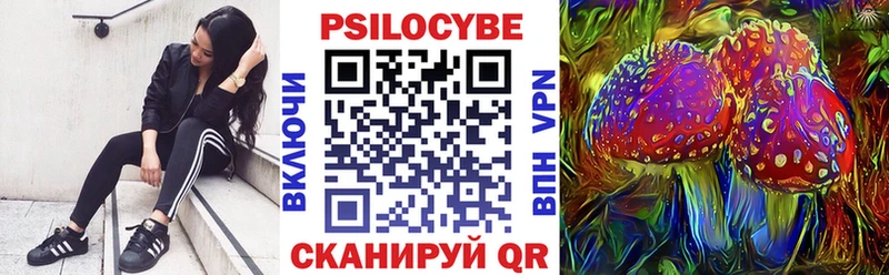 Псилоцибиновые грибы Psilocybe  Лебедянь 